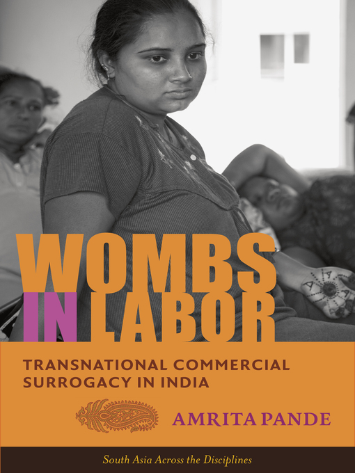 Title details for Wombs in Labor by Amrita Pande - Available